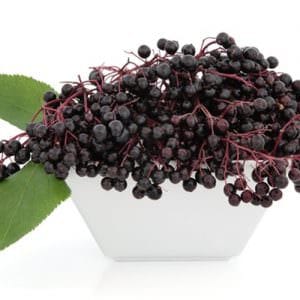 TFA Elderberry Concentrate Flavouring