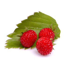 Red Fruit Mint - Inawera Flavour Concentrate, DIY E-Liquid concentrate aroma.